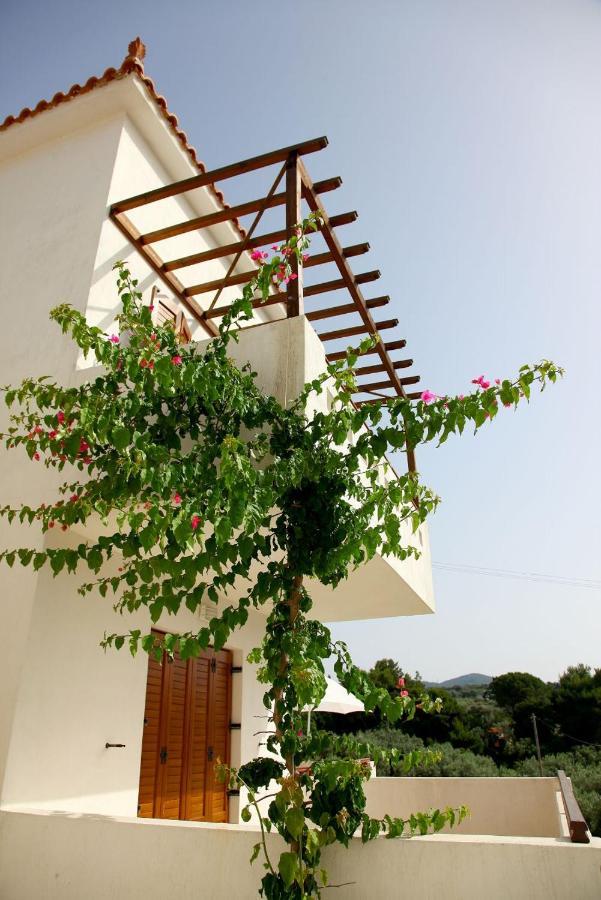 Skopelos Summer Homes Exterior photo
